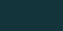 Widget image/logo